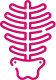 esqueleto