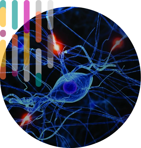 neurona